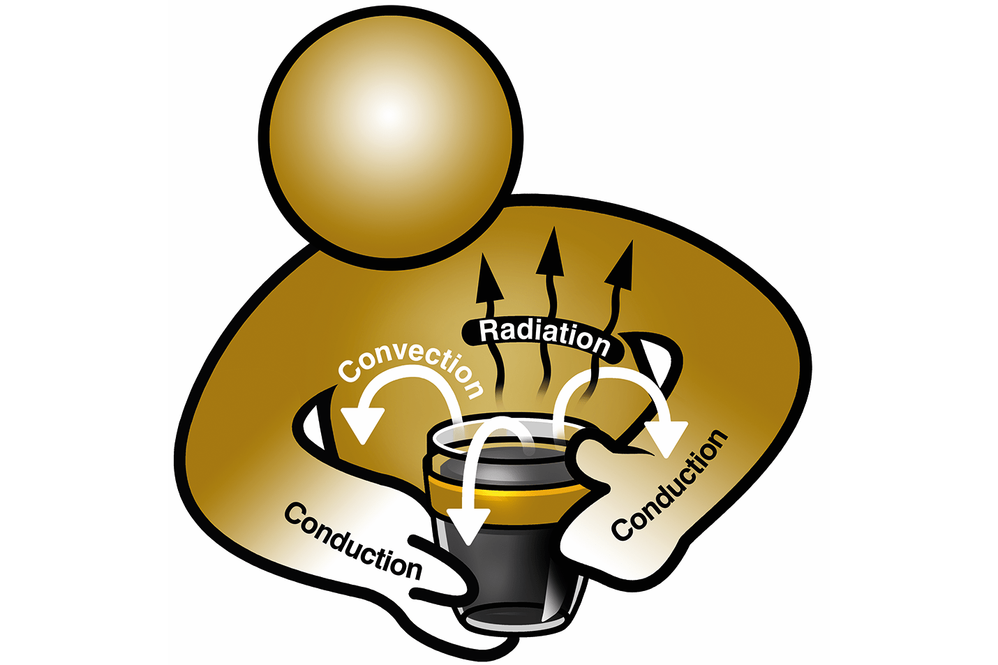 A person is holding a hot drink, There are labels on the image showing heat transfer through the glass cup to the person's hands by conduction, heat transfer within the cup and into the air nearby by convection, and heat transfer to the surrounds through radiation.