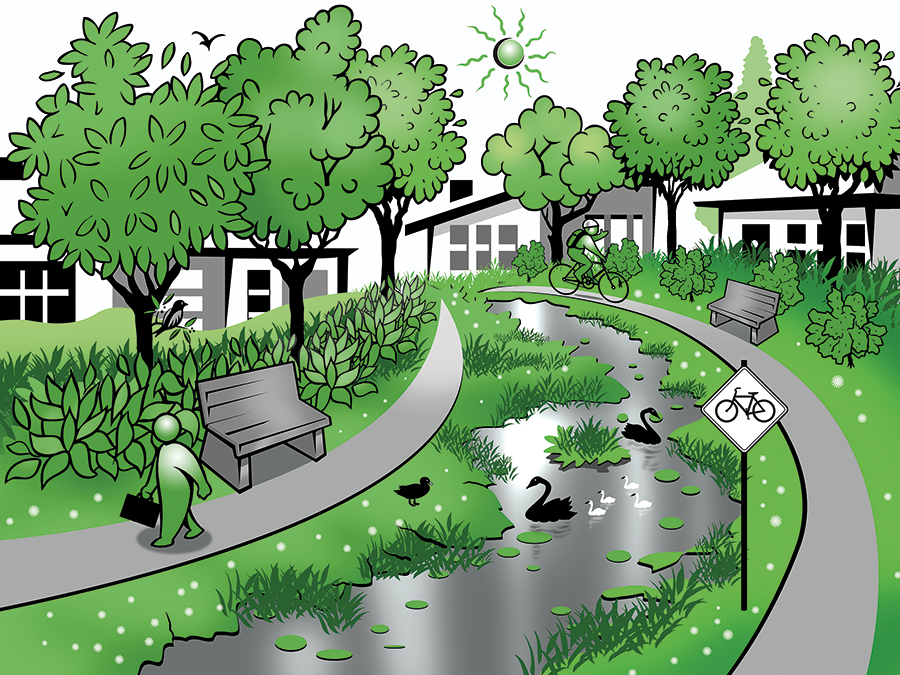 A park with a wetland, trees, and bench seats. There is a person walking with a briefcase and another person cycling on a path with cyclist signage. The wetland has black swans, ducks and another bird on the shore.