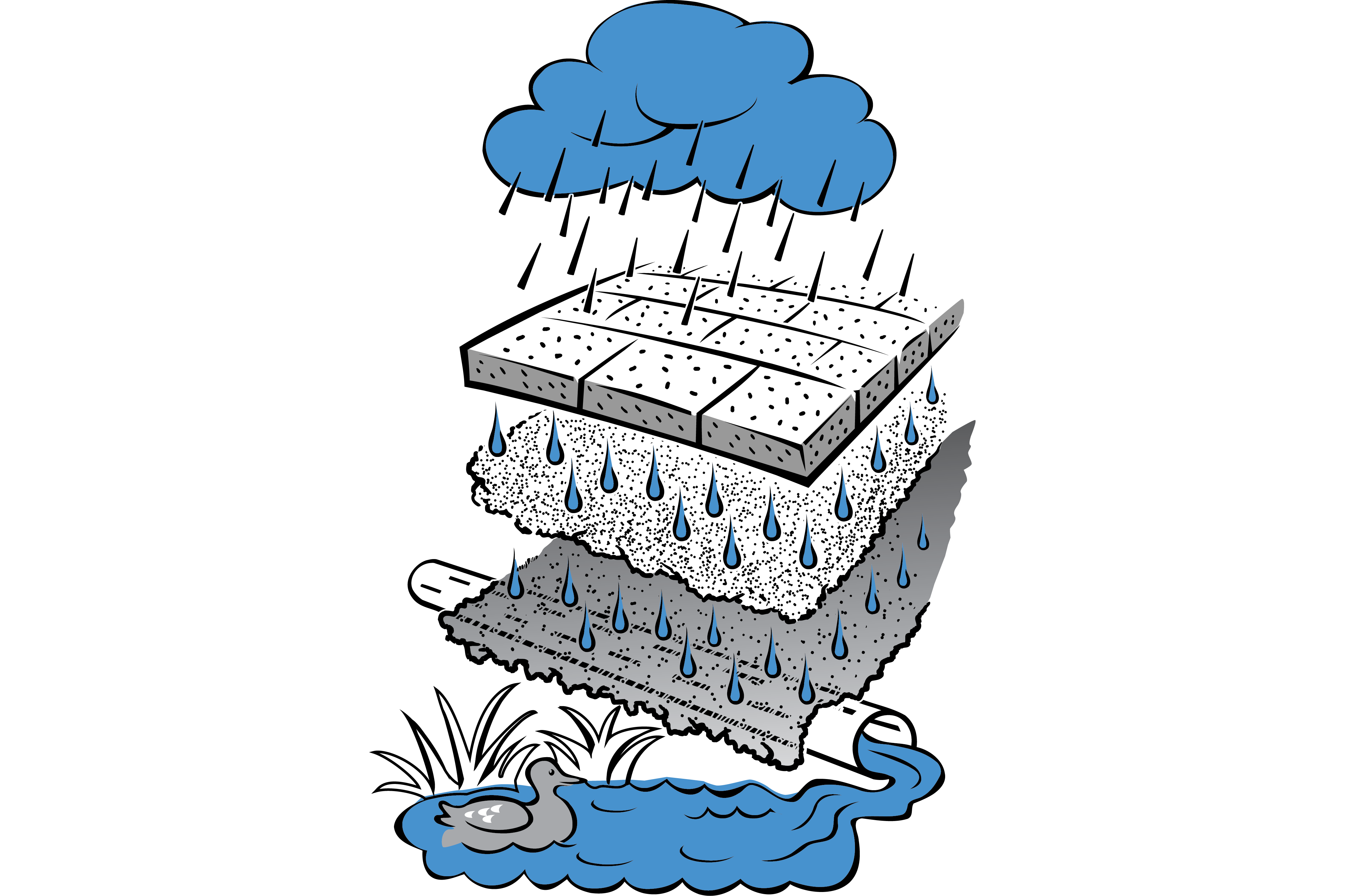 Rain permeating various layers of permeable / porous paving and drained via agi pipe into waterway. Duck swims in waterway.