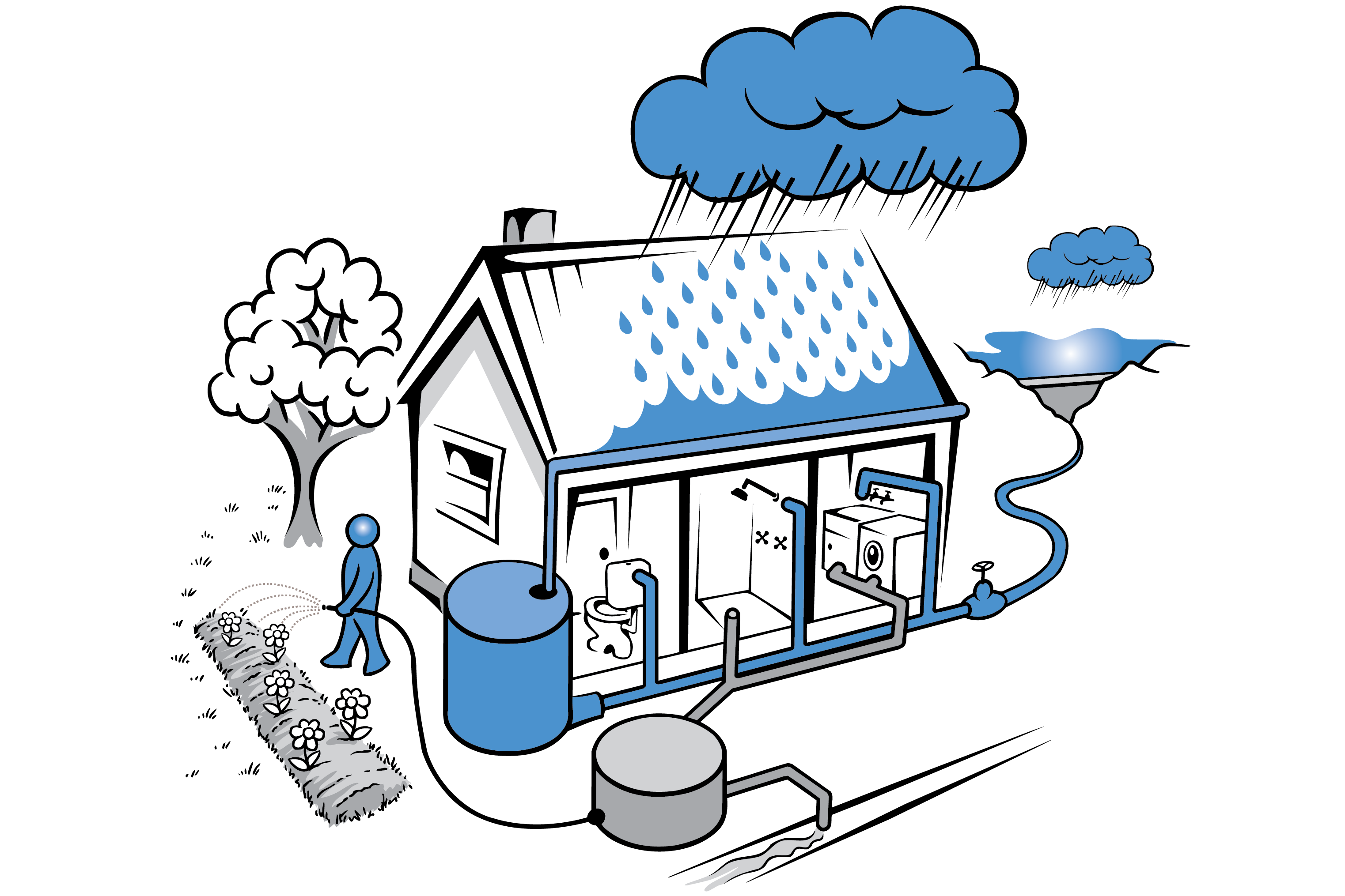 There is a house connected to multiple water sources. This includes a rainwater tank, connected to mains water, and harvests rainwater from the roof and connects to the laundry, shower and toilet. A Council approved treated greywater connects to the sewer and the laundry, shower and garden irrigation. A person waters the garden with greywater.